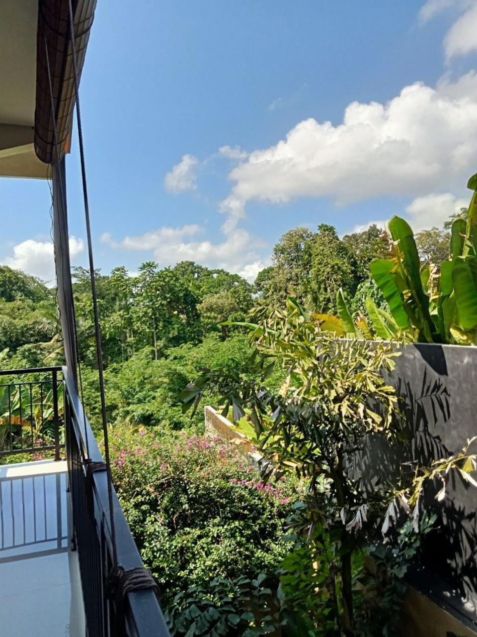 Lavista Guesthouse Ubud Esterno foto